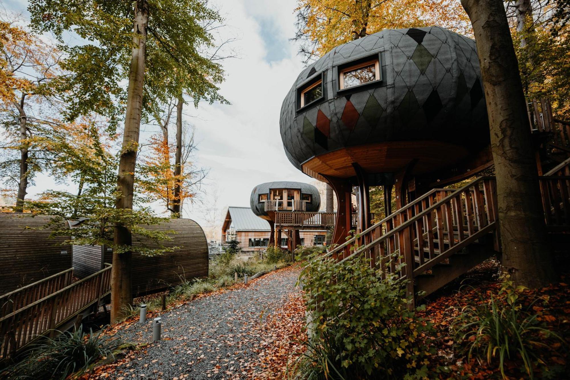 Sonnenresort Ettershaus 巴特哈尔茨堡 外观 照片