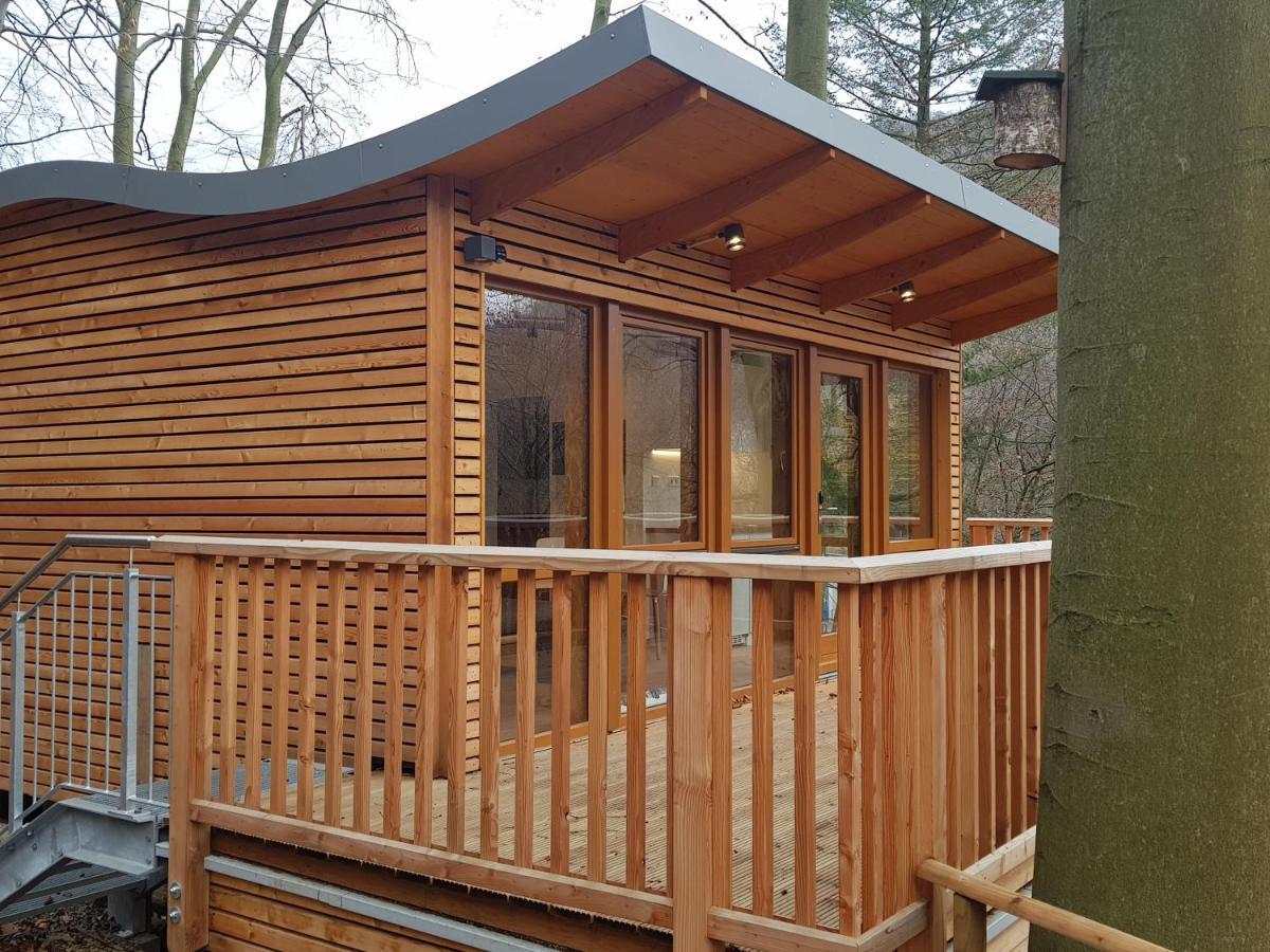 Sonnenresort Ettershaus 巴特哈尔茨堡 外观 照片